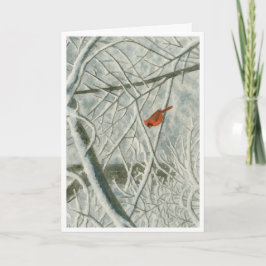 冬の（鳥）ショウジョウコウカンチョウ水カラー_3 カード