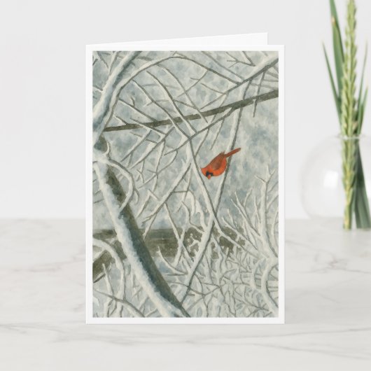 冬の（鳥）ショウジョウコウカンチョウ水カラー_3 カード (正面)