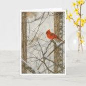 冬の(鳥)ショウジョウコウカンチョウ水カラー_4 カード (黄色い花)