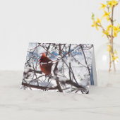 冬の(鳥)ショウジョウコウカンチョウ カード (黄色い花)