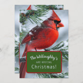 冬の（鳥）ショウジョウコウカンチョウRIPメモリアル結婚クリスマス 招待状 (正面/裏面)