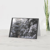 冬の~ 25 シーズンカード (裏面)