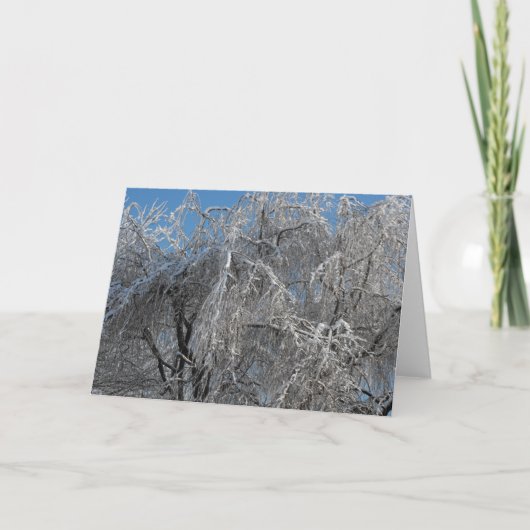 冬の~ 25 シーズンカード (正面)