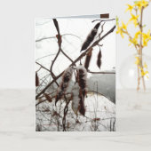 冬のBristlyイナゴ カード (黄色い花)