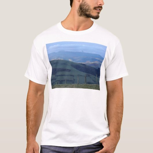 冬のCader Idris Tシャツ (正面)