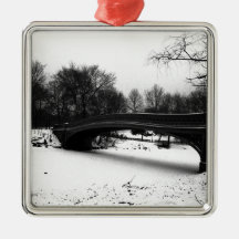 冬のCenteral公園NYC.