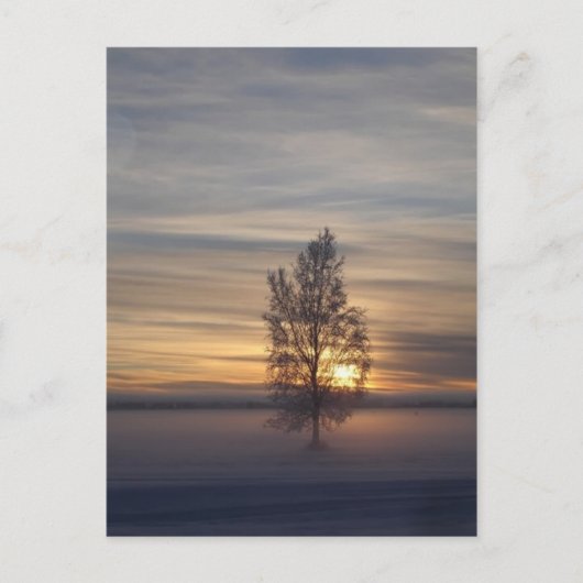 冬のFt.ワインライト ポストカード (正面)