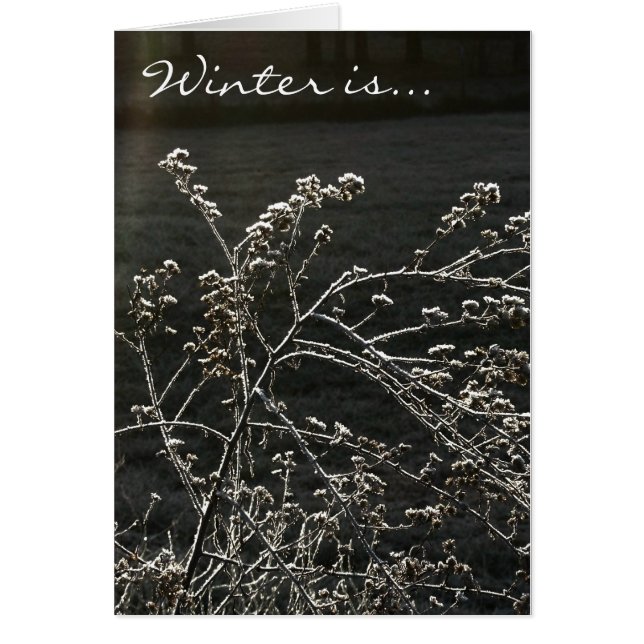 冬はあります (正面)