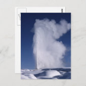 冬はがき忠実 ポストカード (正面/裏面)