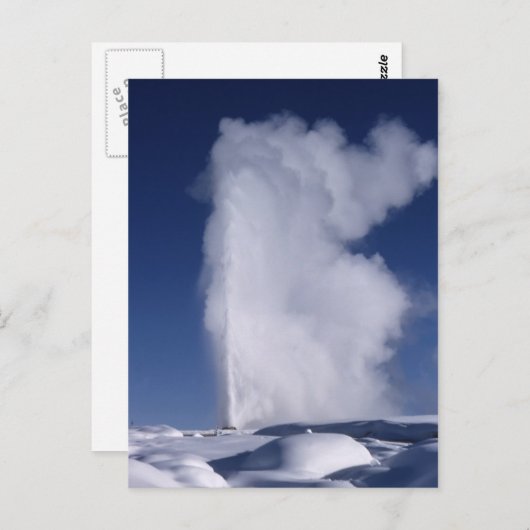 冬はがき忠実 ポストカード (正面/裏面)