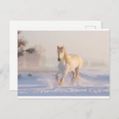 冬はがき ポストカード (正面/裏面)