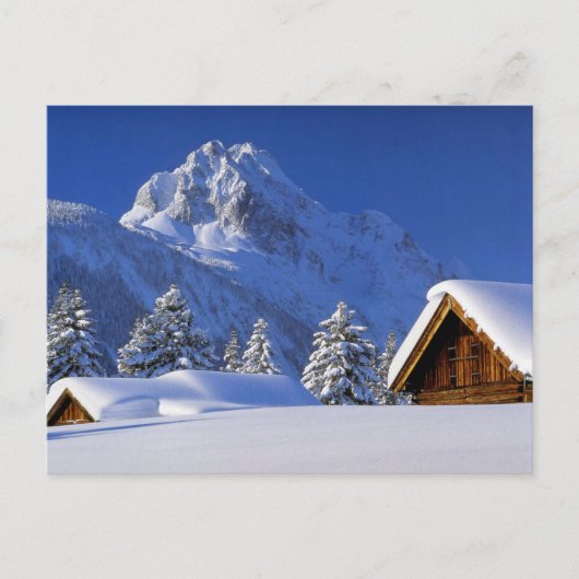 冬はがき ポストカード (正面)