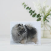 冬はがき ポストカード (スタンド正面)