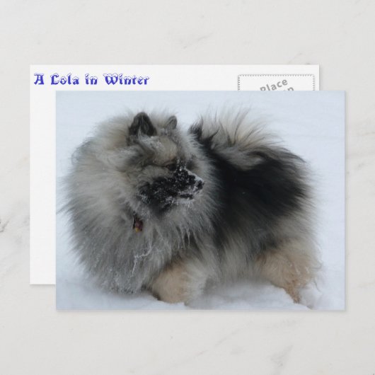 冬はがき ポストカード (正面/裏面)