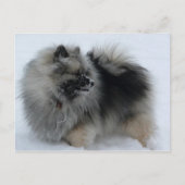 冬はがき ポストカード (正面)