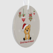 冬はカラフル陽気な動物がクマ オーナメント (正面)