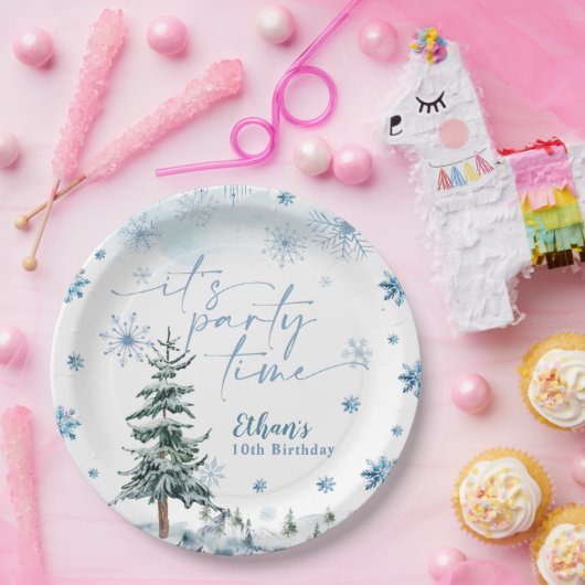 冬はパーティーの誕生日だ ペーパープレート (パーティー)