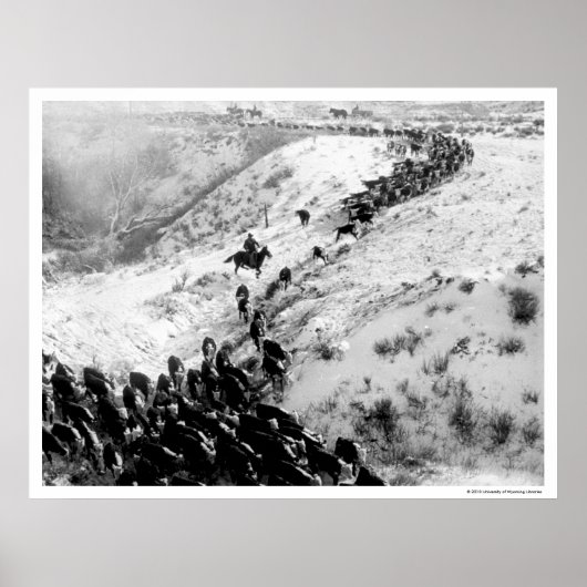 冬は牛を運転する。 ポスター (正面)