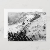 冬は牛を運転する。 ポストカード (正面/裏面)