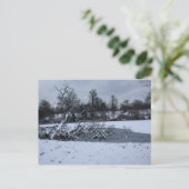 冬ぶら下がったの水中の木 ポストカード (スタンド正面)