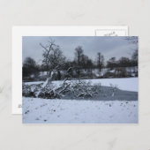 冬ぶら下がったの水中の木 ポストカード (正面/裏面)