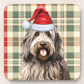 冬をテーマにしたベルガマスコドッグホリデープレイド コースター (正面)