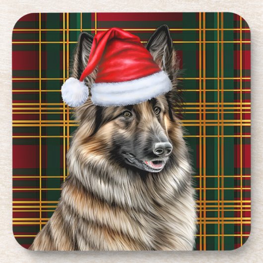 冬をテーマにしたベルギーテルヴューンホリデイプライド コースター (正面)