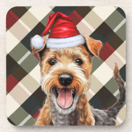 冬をテーマにしたレイクランドテリアホリデイプレイド コースター