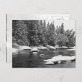 冬をテーマにした白黒の美しいリ凍っていー ポストカード (正面/裏面)