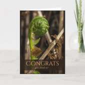 冬を乗り越える美しいシダCC0917おめでとう カード (正面)