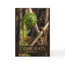 冬を乗り越える美しいシダCC0917おめでとう