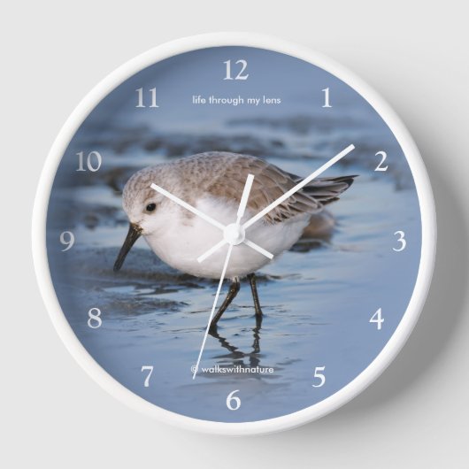冬を徘徊するカワイトサンダリング海岸ビーチ 壁時計 (正面)