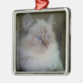 冬を熟視しているRagdoll美しいHymalayan猫 メタルオーナメント (左)