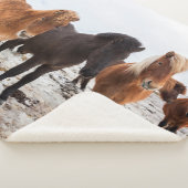 冬アイスランドのアイスランドの馬 シェルパブランケット (3/4)