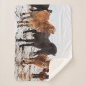 冬アイスランドのアイスランドの馬 シェルパブランケット (正面)