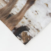 冬アイスランドのアイスランドの馬 フリースブランケット (角)