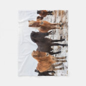 冬アイスランドのアイスランドの馬 フリースブランケット (正面)