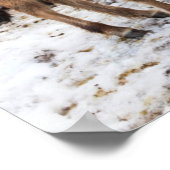 冬アイスランドのアイスランドの馬 ポスター (角)