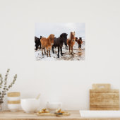 冬アイスランドのアイスランドの馬 ポスター (キッチン)