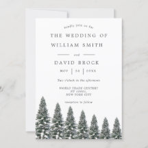 冬エレガントのワンダーランド雪結婚片