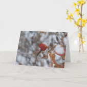 冬カードのバラの実 カード (黄色い花)