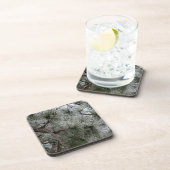 冬シーズンコースター コースター (右側)