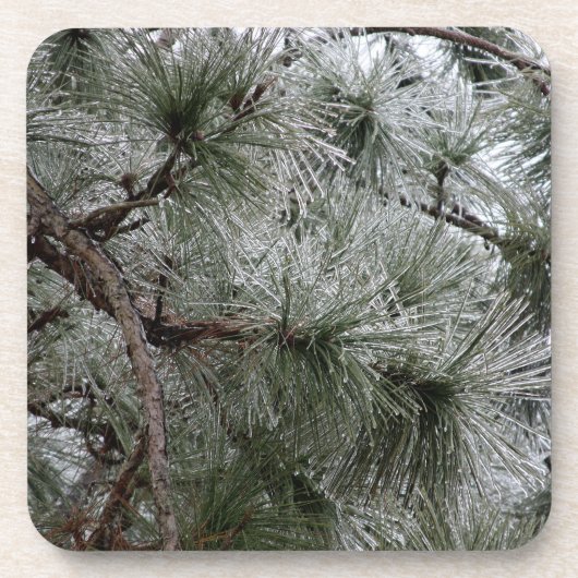 冬シーズンコースター コースター (正面)