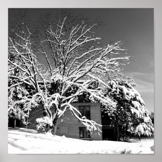 冬ブラストB+W ポスター (正面)