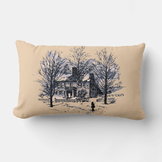 冬ポリエステル腰神経の枕13" x 21 " ランバークッション (正面)