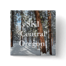 冬ポンデローサ