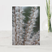 冬ムギ カード (正面)