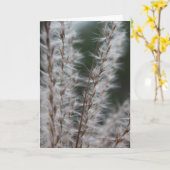 冬ムギ カード (黄色い花)