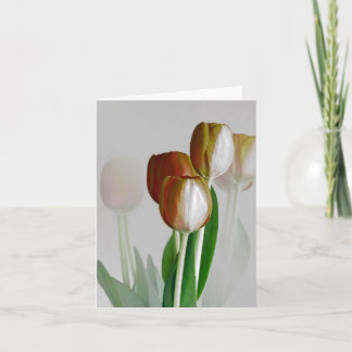 冬ライト カード