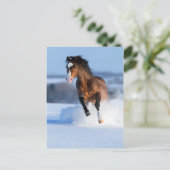 冬ランニングは馬が畑を横切る ポストカード (スタンド正面)